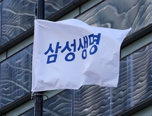 순익 급증에 배당도 확대…삼성생명 6%대 상승[특징주]