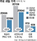 '金사과' 이제 끝나나…안정세 찾은 과일값