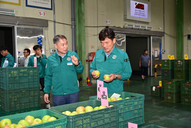 윤경희(오른쪽) 청송군수가 올해산 사과 경매가 시작된 청송군농산물공판장을 둘러보고 있다. 제공=청송군