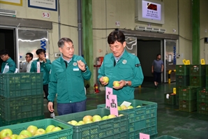 사과 최대 주산지 경북 청송서 올해산 사과 경매 시작