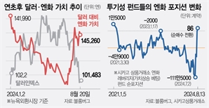 美달러 가치 하락에 "弗빌려 신흥국 돈 산다"…늘어나는 ‘뉴 캐리 트레이드’