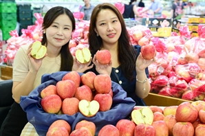 성남시, '가정보육 어린이에게 제철과일 보내드려요'