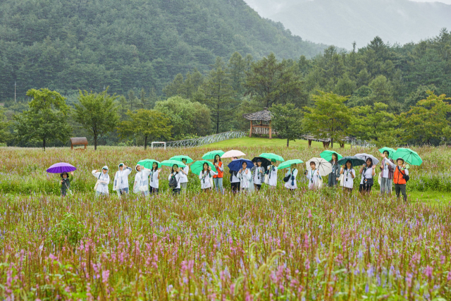 지난해 열린 그린캠프에 참가한 청소년들이 기념사진을 촬영하고 있다. 사진 제공=유한킴벌리