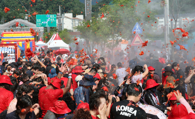 지난 3일 강원도 화천군의 ‘화천토마토축제’에 참석한 국내외 관광객들이 즐거운 시간을 보내고 있다. 연합뉴스