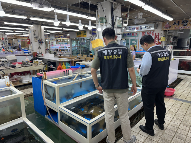 지난달 해경이 경북 포항 소재 시장에서 수산물 원산지에 대한 점검을 진행하는 모습. 사진제공=해양경찰청