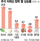 물가협회 "추석 차례상 비용 29만원…작년보다 9% 더 든다"