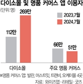 불황에 빛 보는 다이소몰, 맥 못추는 명품커머스앱