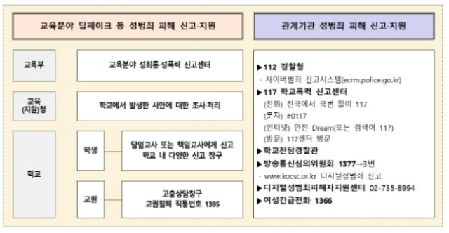 교육부가 28일 발표한 디지털 성사안 신고 상담 지원체계. 사진 제공=교육부