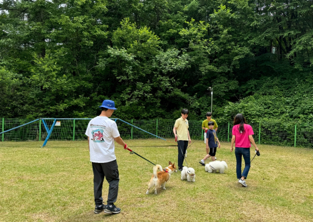 산음휴양림을 찾은 휴양객들이 반려견 놀이터에서 반려견들과 즐거운 시간을 갖고 있다. 사진제공=국립자연휴양림관리소