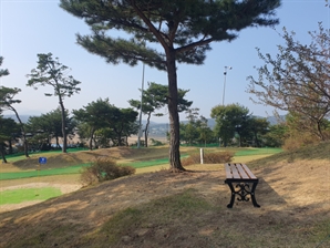 “여기가 골프장이야, 파크골프장이야?”…경주 쉐르빌파크골프장[주목이구장]