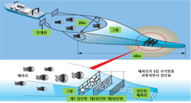 절단망 활용한 해파리 방제 방식. 사진 제공=강원도