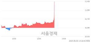 <코>워트, 현재가 5.64% 급등