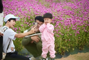 마법같은 사랑 이야기…양주 나리공원서 '천만송이 천일홍축제' 개최[양주톡톡]
