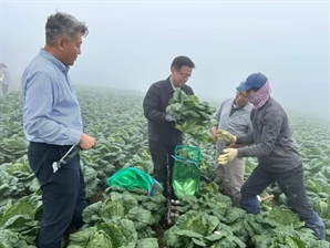 휴가에도 배추밭 찾은 최상목…"농산물 가격 부담 가벼워질 것"