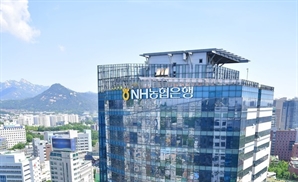 농협은행, 6일부터 다주택자 수도권 주담대 중단