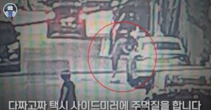 "그냥 시비 걸고 싶었다"…남의 차 부수고 행인 때린 30대, 붙잡히자 꺼낸 말 '황당'