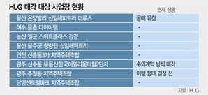 [단독] HUG, 환급이행 사업장 1곳 매각 성공…240억 손실 확정 추정