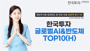 한투글로벌AI&반도체TOP10(H), 연초 이후 설정액 500% 넘게 증가