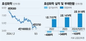 재무압박 시달리는 효성화학…해결책은 특수가스 매각뿐