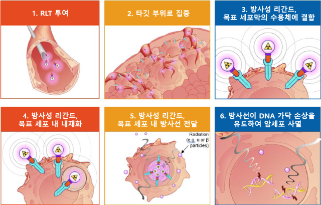 방사성 리간드 요법의 기전. 사진 제공=노바티스