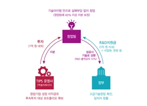 국가 R&D 삭감에 결국…스타트업 지원도 줄어든다