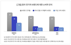 "국내 들어오면 산다"…중국車 구입선호 1위는?[Car톡]