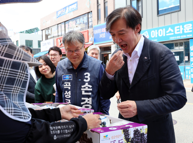 조국(오른쪽) 조국혁신당 대표가 지난달 30일 전남 곡성의 한 과일 판매점에서 포도를 맛보고 있다. 연합뉴스