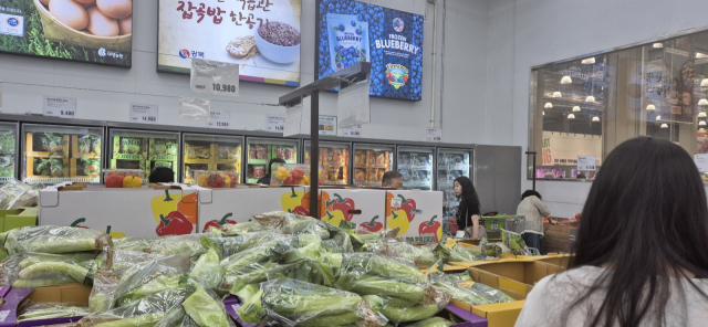 “오이 7개가 만원…추석물가 인하 체감 못해”