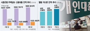 '상환능력'에 초점…신용대출 年소득 이내로