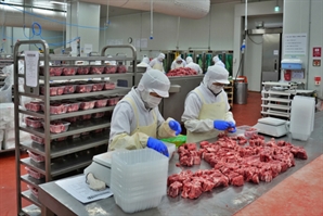 "한우, 경매 직후 옮겨 가공…다음날 선물 세트로 직배송"