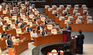 22대 국회 첫 대정부질문