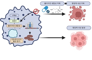 재발 잦은 피부암 '흑색종'…항암제 안듣는 이유 찾았다