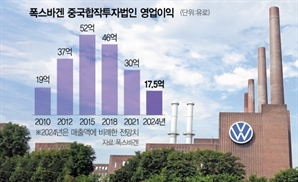 높은 中의존·기술혁신 실패가 발목…"폭스바겐 사태, 獨 경제불황과 닮아"
