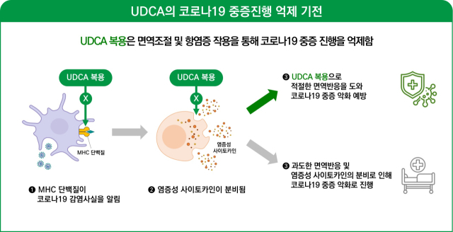 대웅제약 “우루사 주성분 코로나19 예방 효과, 국제학술지 게재”