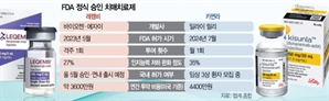 시장성 높은 치매치료제…잇단 난관에도 포기 못하는 제약업계