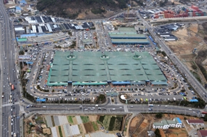 부산 농산물도매시장 제수·선물용 5.8%, 잔류농약 허용기준치 부적합