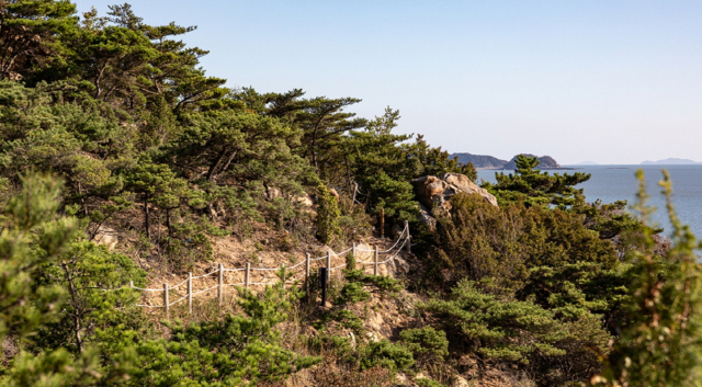 장봉도 가막머리 해안길 전경. 사진제공=인천시