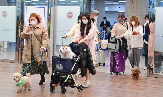 '연휴엔 댕댕이도 쉬고 싶다'…반려견과 여행가는 MZ 공략