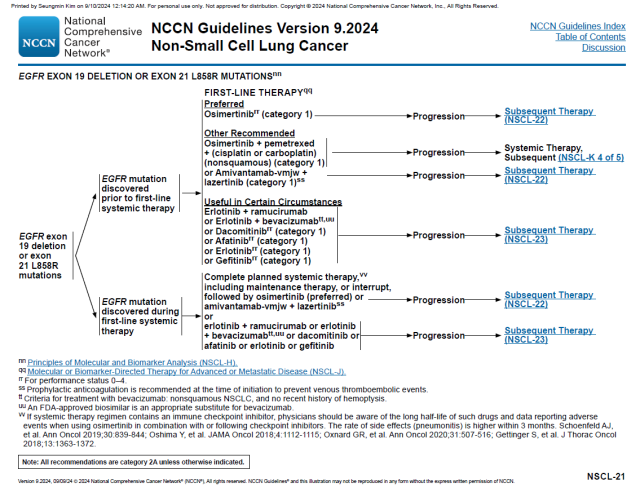 사진=미국종합암네트워크(NCCN) 비소세포폐암 치료 가이드라인