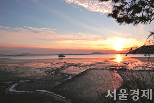 순천만 갯벌. 사진 제공=국가유산