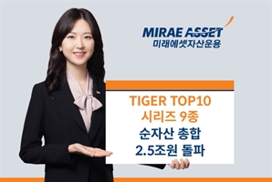 대형주 집중 투자…'TIGER TOP10 시리즈' 9종 순자산 2.5조 돌파