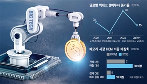 "설비투자 늘어도 물량확대 제한적…HBM 공급과잉은 시기상조" [biz-focus]