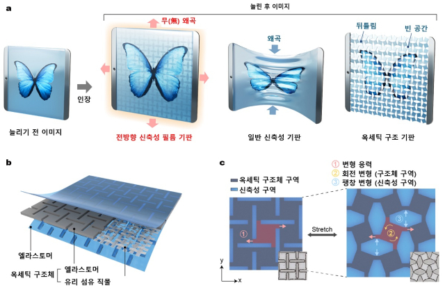 음의 푸아송비 필름 개발의 개념도. 자료=KAIST