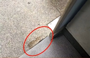 "카페 문에 이 '누런 얼룩' 뭐지?"…수상한 액체 든 물총 쏘고 간 남성 '황당'