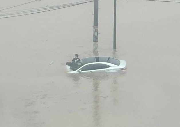 '서초동 제네시스 현자가 옳았다'…극한 호우에 차 위로 올라가 목숨 건진 남성