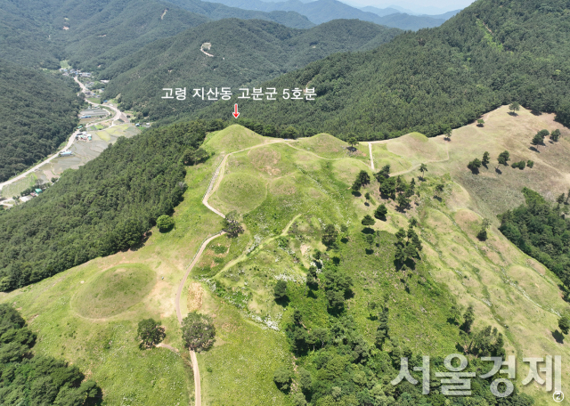 세계유산 ‘고령 지산동 고분군’의 최대 규모 ‘5호분’ 85년만에 재발굴