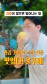'과즙 내뿜었더니 조회수 터졌다…1317만뷰 울주배 영상 "협업 제안 쏟아져"