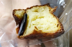 "어린 딸 먹었으면 어쩔 뻔"…부산 유명 빵집 빵서 나온 '이물질' 정체 '깜짝'