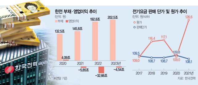 "한전, 전기 싸게 팔아 13년간 12.6조 순손실"