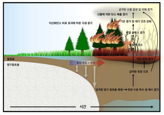 지구온난화가 영구동토층의 산불을 키우는 과정을 설명한 그림. 사진 제공=IBS